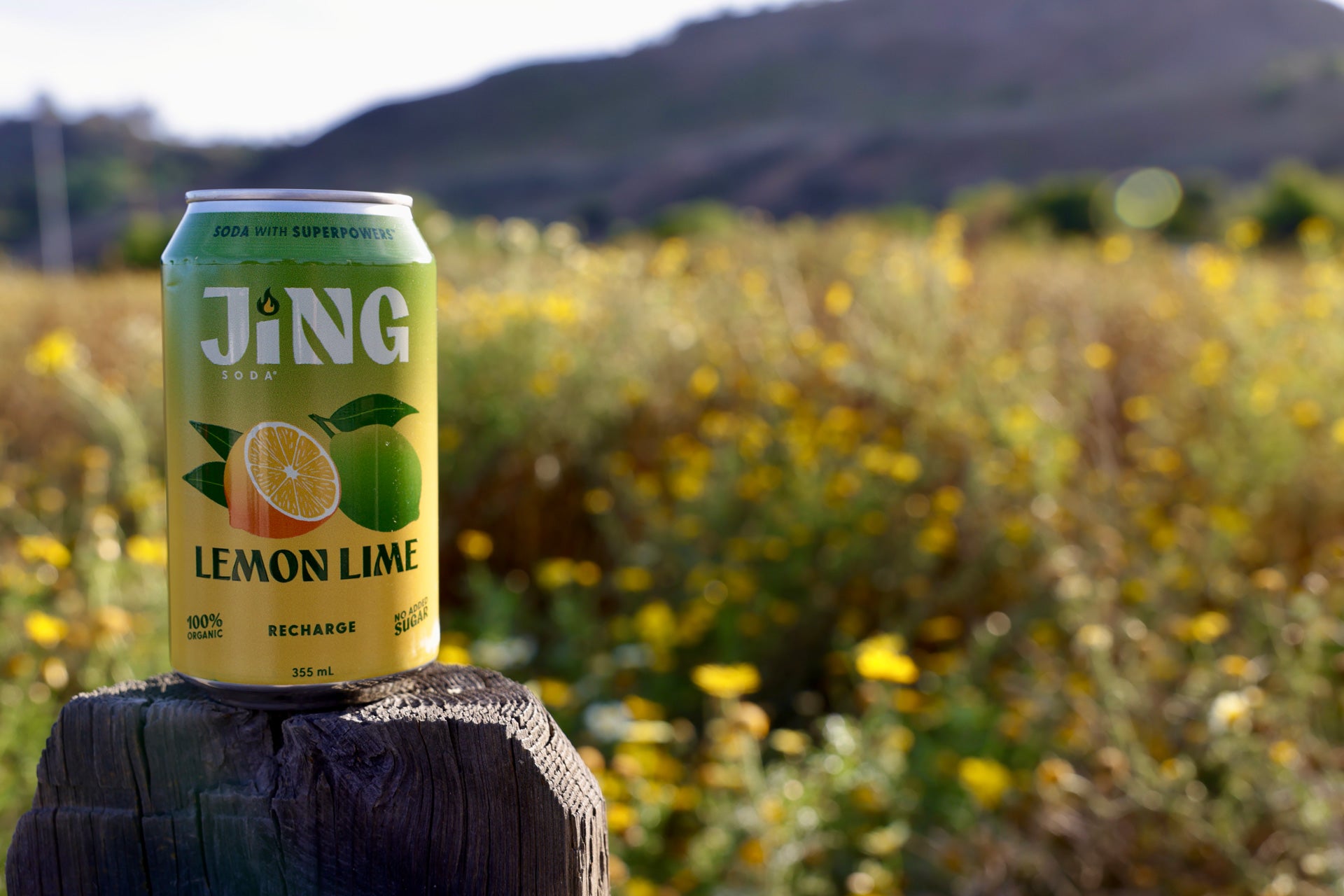 Lemon Lime, 12oz Can (COMING SOON)