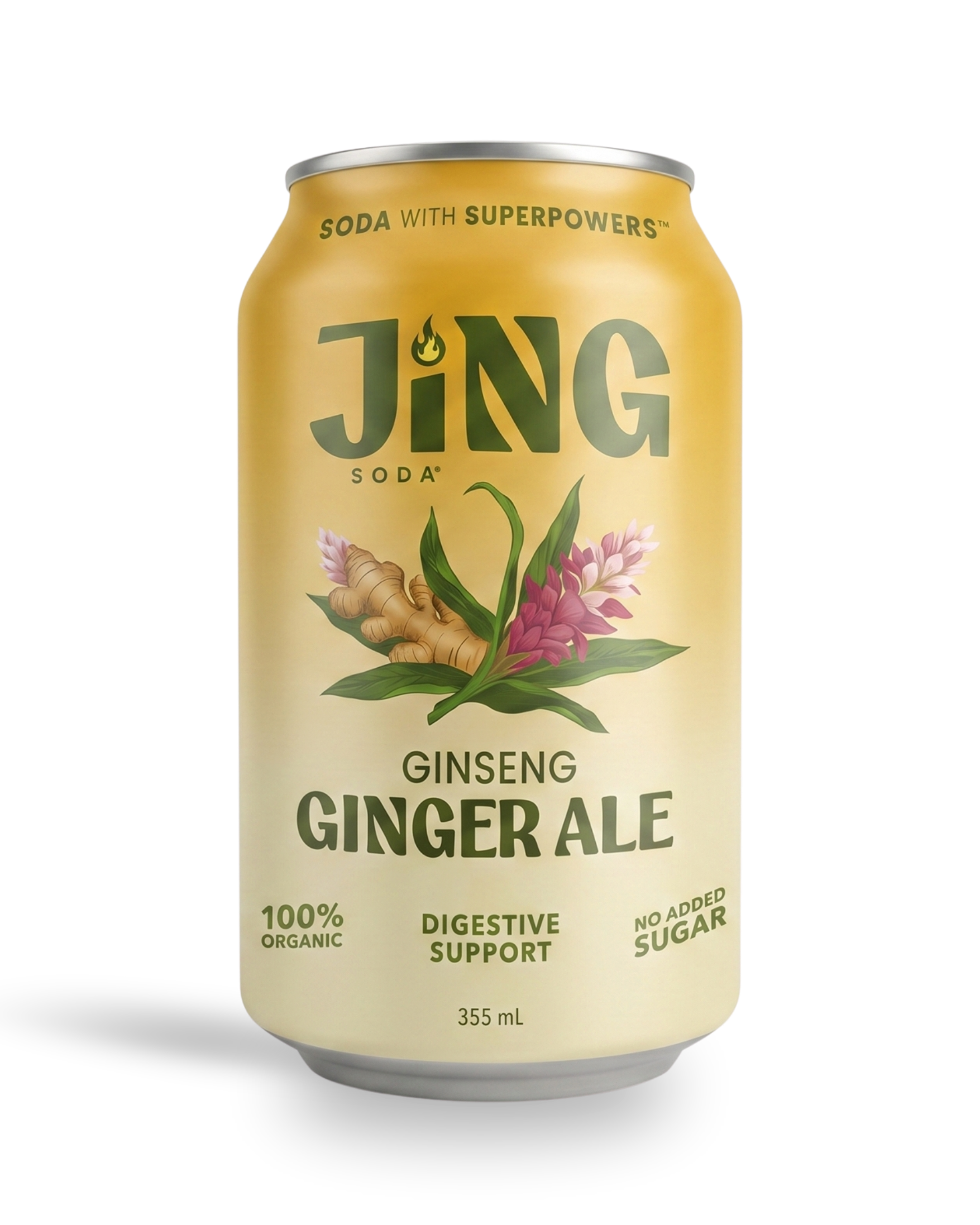Ginger Ale, 12oz Can (COMING SOON)