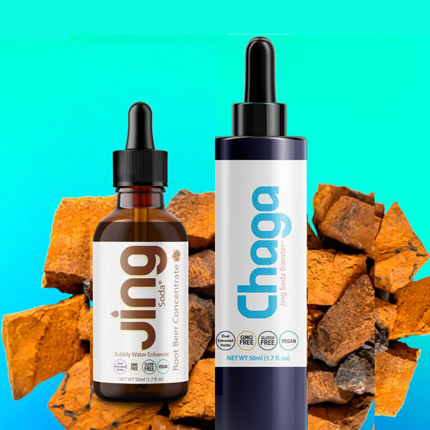 Root Beer Chaga Boost Bundle