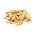 astragalus2