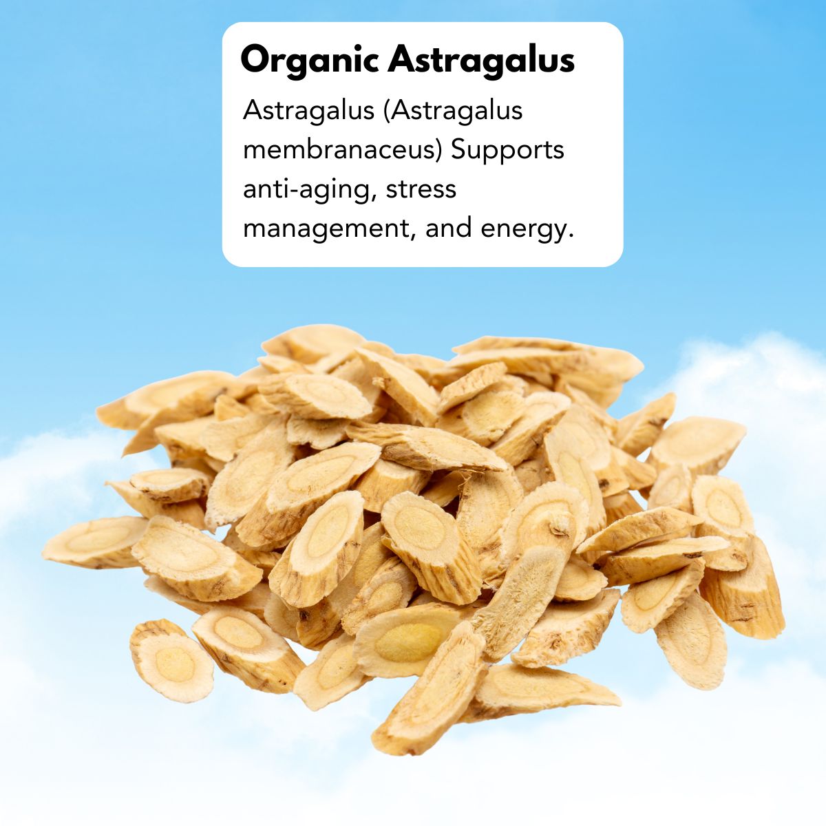 astragalus_1b34803b-25b4-44fc-92ec-9075225abf0c