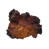 chaga1