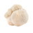 lion_s_mane