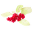organic_rehmannia