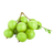 organic_rehmannia_1
