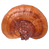 organicreishi